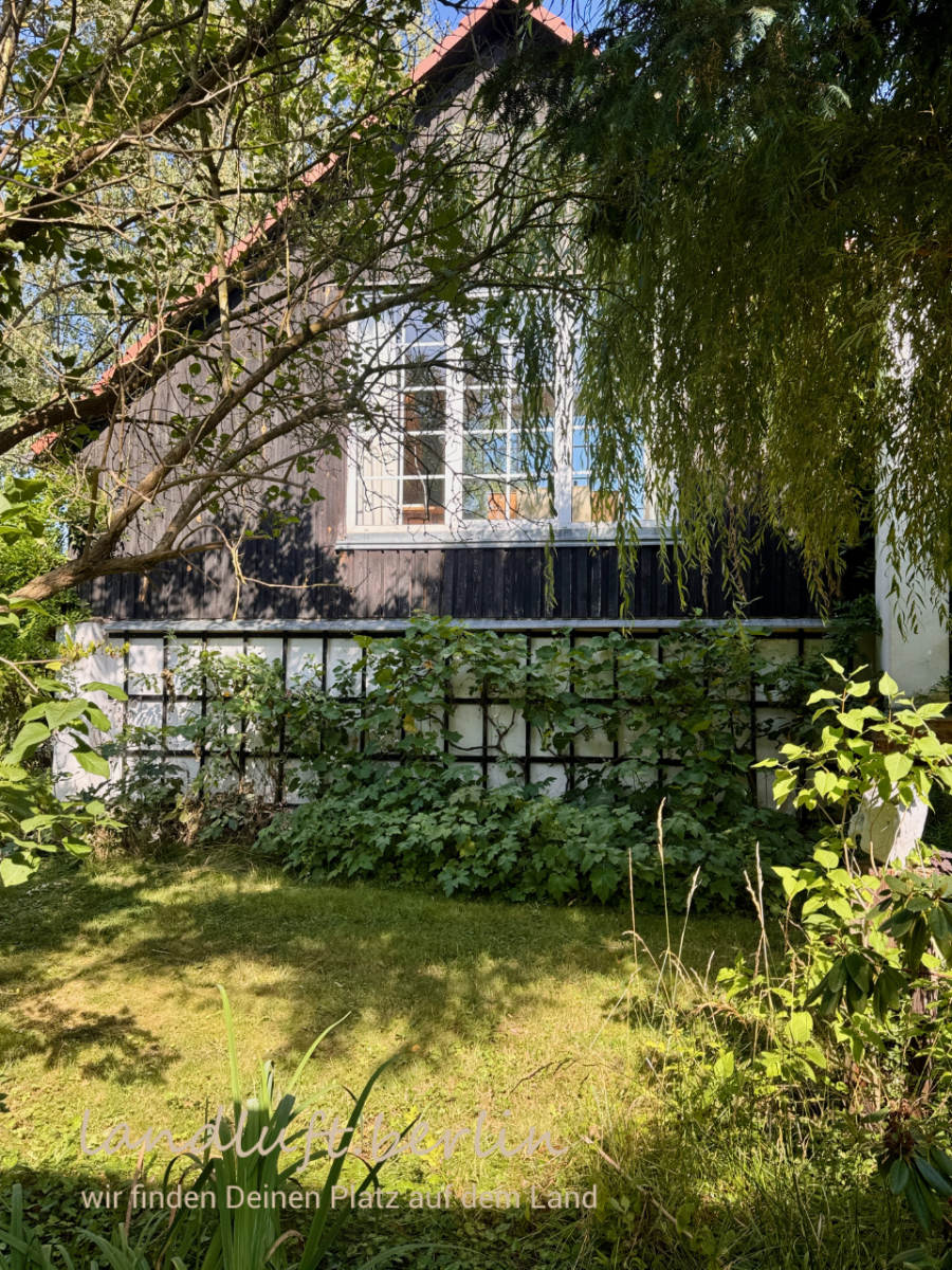 Atelier Südost-Seite mit Rankhilfen
