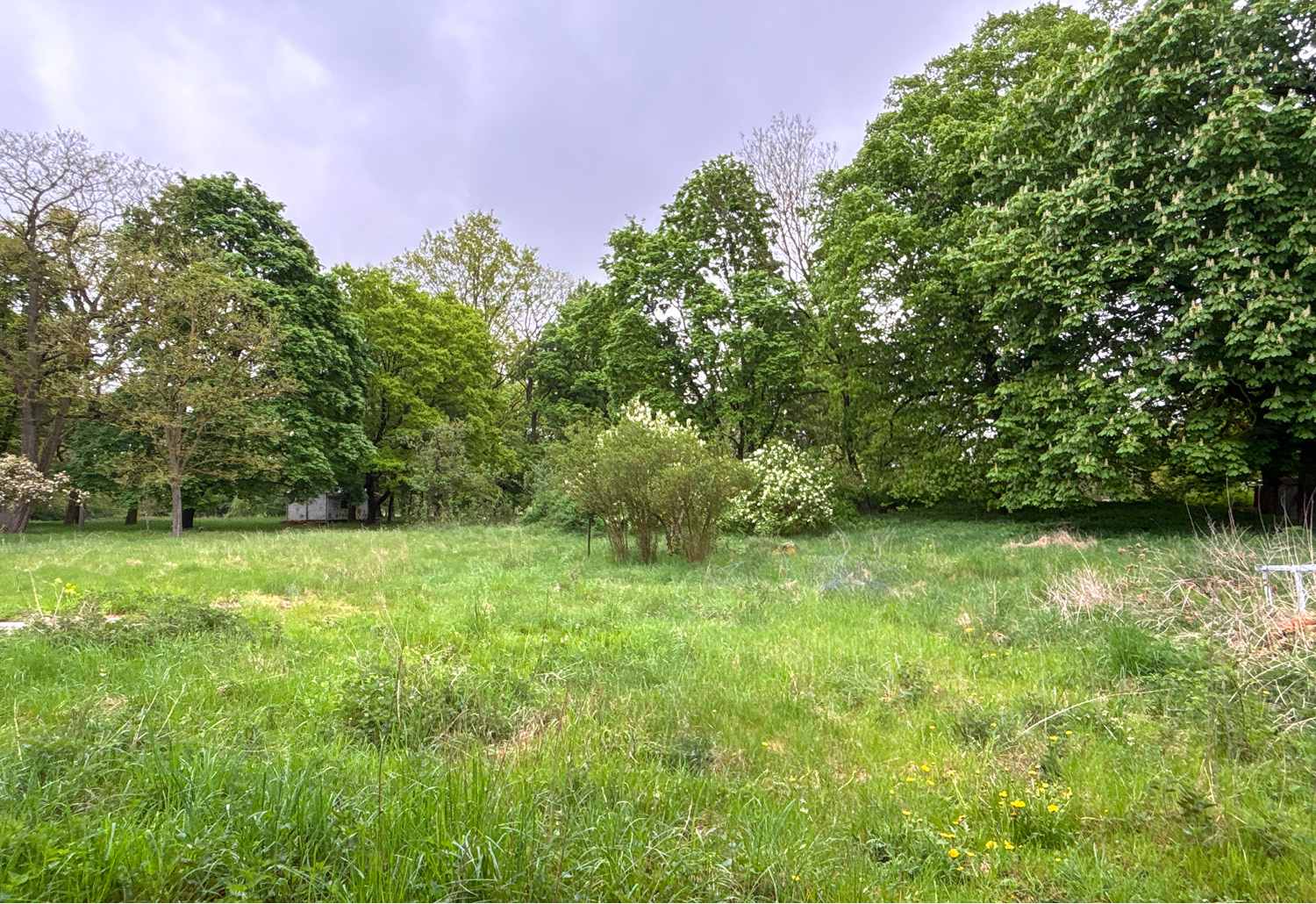 Aussicht in den Park auf der Ostseite des Gebäudes