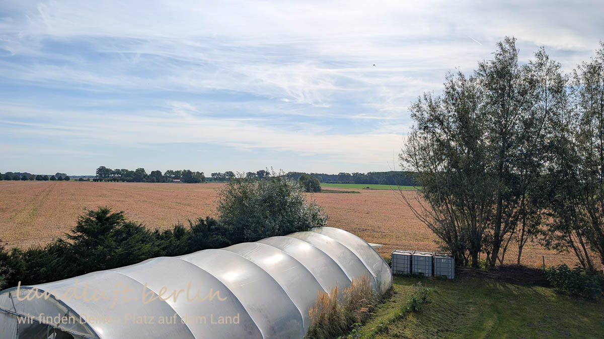 Blick aus dem Dachraum nach Süden, Gewächshaus