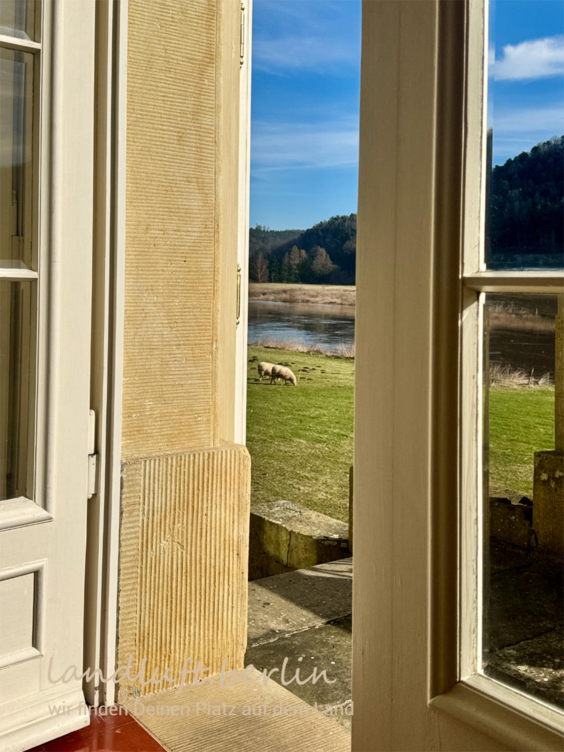 Blick über die Freitreppe auf die Elbwiesen, Schafe und Fluss