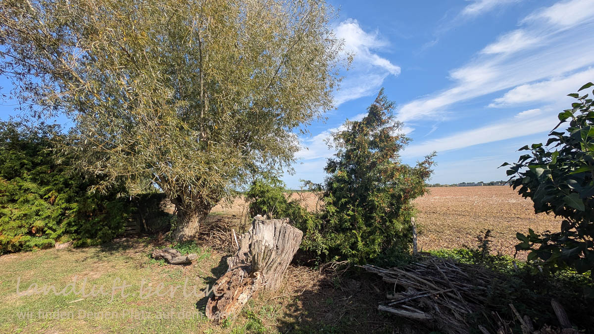 Blick vom Grundstück nach Südwesten
