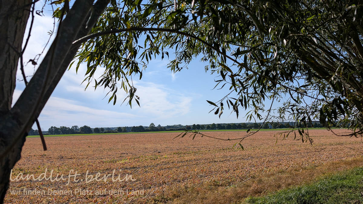 Blick vom Grundstück über die Felder