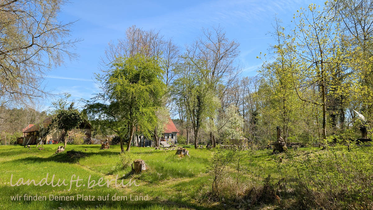 Blick vom Grundstücksende zum Haus im Frühling