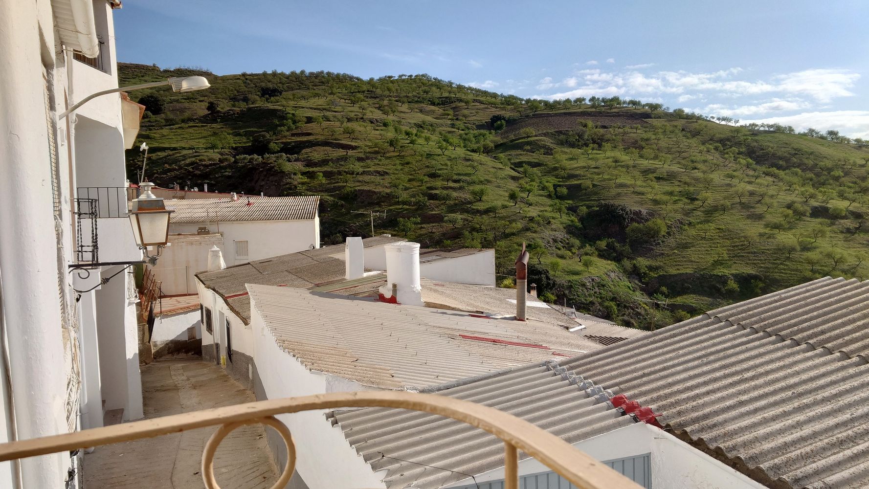 Blick vom Balkon nach Osten über Mandelbäume