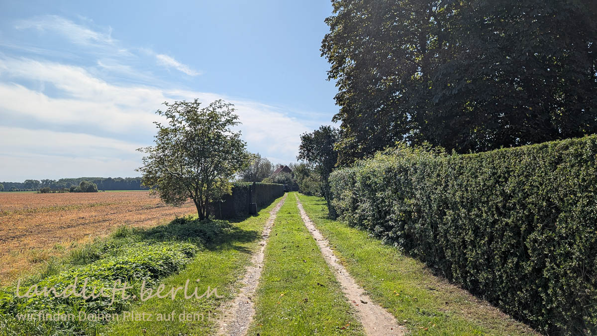 Der Zufahrtsweg, rechts das Grundstück der Nachbarn