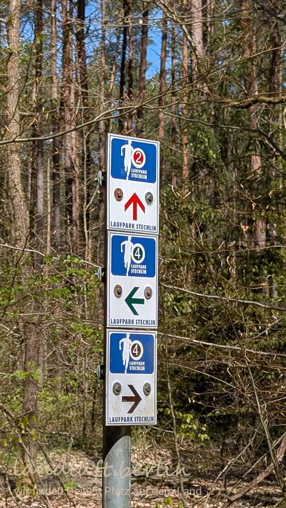Die Waldwege gehören zum Laufpark Stechlin