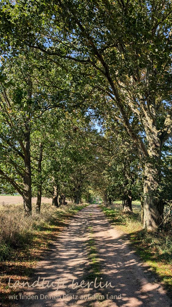 Ein Weg in der Nähe