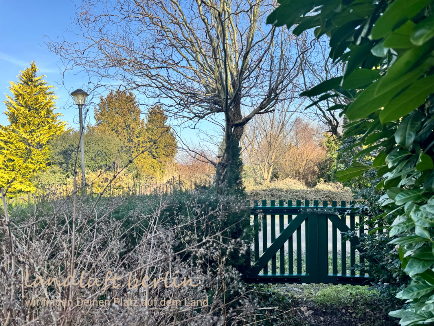 Gartentor zur Straße Am Strom, im Hintergrund Gartenland