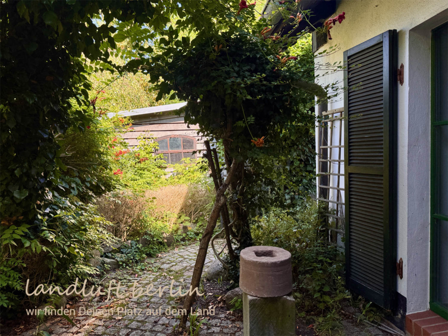 Gepflasterter Weg vom Wohnhaus zur Einfahrt