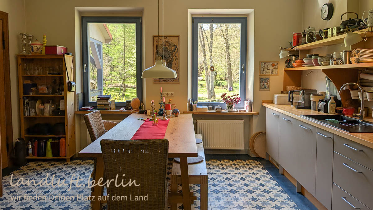 Küche mit Fenstern zum Garten