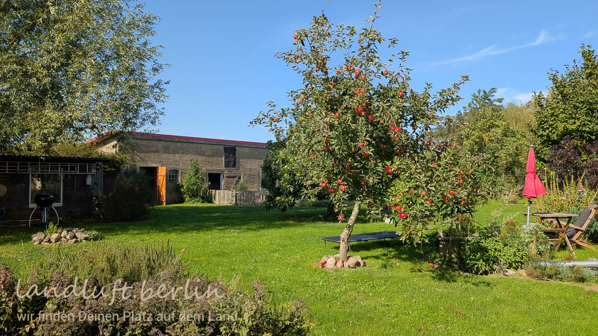 Links der Holzschuppen, rechts Werkstatt und Hühnerstall