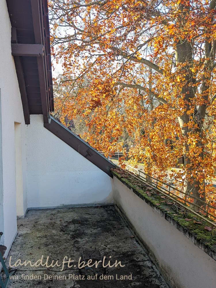 Terrasse zur Straße